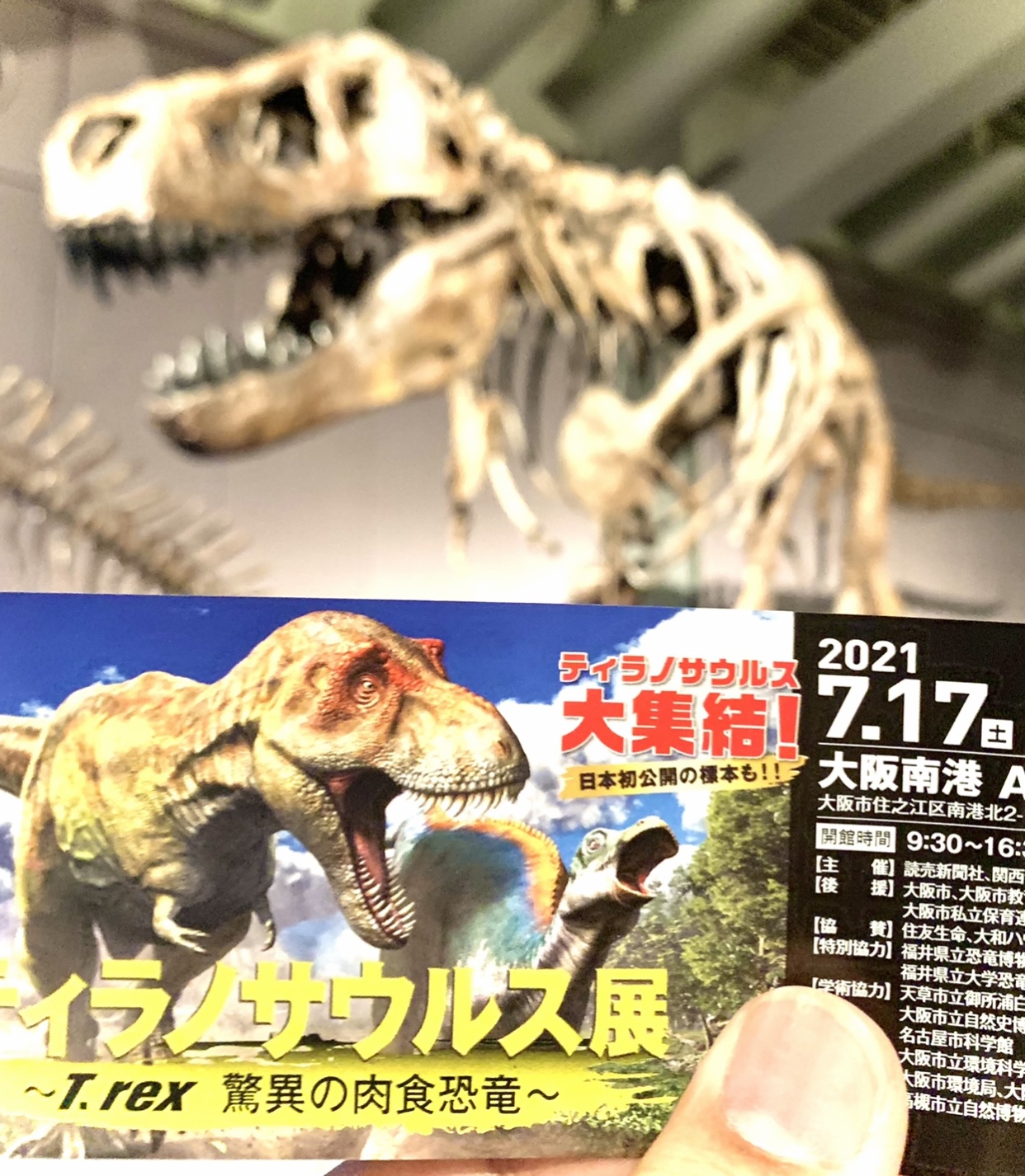 ティラノサウルス展。恐竜。atcギャラリー。藤美堂。